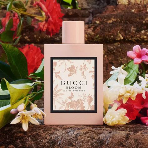 Gucci Bloom edt fragrantica